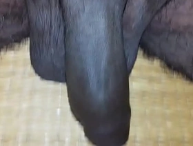 Mayanmandev xvideos indian basic video - 89 korean teen gay porn videos