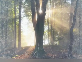 quand le chat a décidé de regarder la télévision gay korean clips porn