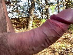 Clitlicker662 - modernize #19 - IMG 1255 - Nov 24, 2024 naoki japan gay porn