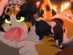 Calico cat gives out a bj to customer gay korean boys porn