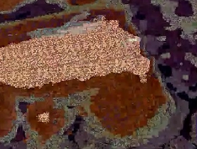 Dick videotape chinese cousin gay porn