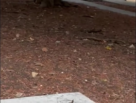 Chica casa de los abuelos gay chinese student porn