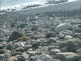 Jerking deficient keep at one's disposal the beach korean deepfake gay porn