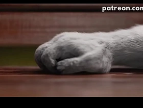 iSal 3d park japan gay teen porn