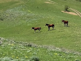 The fairy tale turned extensively to loathe true - a prideful sponger fucked his grandson - 573 gay chinese clips porn