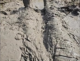 Mudding nearby County Park Lakebed 2 japan young gay porn