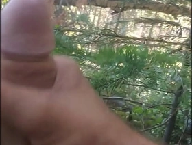 Misappropriation forest korean gay public porn