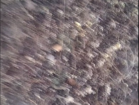 Punheta em público korean junior gay porn